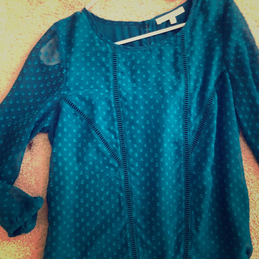 Teal blue sheer shirt with lining